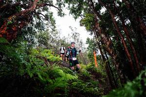 BIB: 
                            <button type="button" onclick="openModal(26202562)" class="btn btn-primary btn-sm float-right btn-popup" data-toggle="modal" data-target=".modal-high-quality">
                        <i class="fas fa-shopping-cart"></i> Add to Cart
                    </button>
                                            <button type="button" onclick="isThisMe(26202562, true)" class="btn btn-success btn-sm float-right btn-popup btn-isme hidden" data-toggle="tooltip" data-placement="bottom" title="นี่คือรูปของคุณใช่ไหม คลิกที่นี่เพื่อเอาเข้าอัลบั้ม">
                        <i class="fas fa-plus"></i> Add to album
                    </button>
                    <button type="button" onclick="isThisMe(26202562, false)" class="btn btn-warning btn-sm float-right btn-popup btn-isnotme hidden">
                        <i class="fas fa-ban"></i> Remove from album
                    </button>